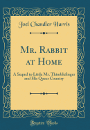 Mr. Rabbit at Home: A Sequel to Little Mr. Thimblefinger and His Queer Country (Classic Reprint)