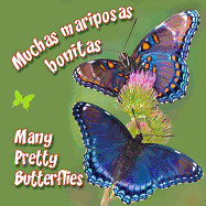 Muchas Mariposas Bonitas: Many Pretty Butterflies