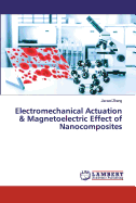 Multi-Functional Nanocomposites for the Energy Conversion