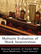 Multisite evaluation of shock incarceration