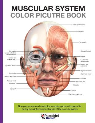 Muscular System Color Picture Book: Beautiful illustrations with concisely and clearly readable labels - Books, Pamphlet