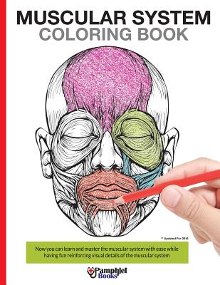 Muscular System Coloring Book: With colored illustrations like what you see on the back page - Books, Pamphlet