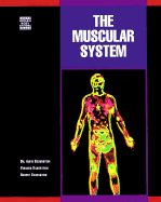 Muscular System - Silverstein, Alvin, Dr., and Silverstein, Robert, and Silverstein, Virginia, Dr.