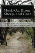 Musk-Ox, Bison, Sheep, and Goat