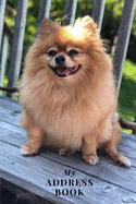 My Address Book: Pomeranian - Address Book for Names, Addresses, Phone Numbers, E-mails and Birthdays