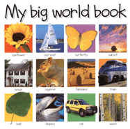 My Big World Book - Priddy Bicknell (Creator)