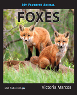 My Favorite Animal: Foxes