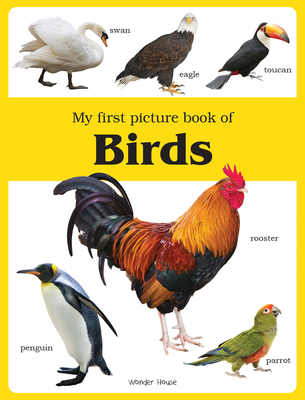 My First Book of Birds - Wonder House Books