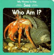 My Home is the Sea: Who Am I?