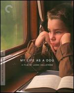 My Life as a Dog [Criterion Collection] [Blu-ray] - Lasse Hallstrm
