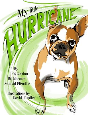 My Little Hurricane - Marmor, Bill, and Pfendler, David, and Gordon, Jes