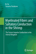 Myelinated Fibers and Saltatory Conduction in the Shrimp: The Fastest Impulse Conduction in the Animal Kingdom