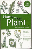 Name That Plant: An Illustrated Guide