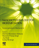 Nanobiotechnology for Bioremediation: Fundamentals and Mechanisms