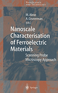 Nanoscale Characterisation of Ferroelectric Materials: Scanning Probe Microscopy Approach