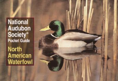 National Audubon Society Pocket Guide: North American Waterfowl - National Audubon Society