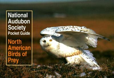 National Audubon Society Pocket Guide to North American Birds of Prey - Walton, Richard K, and Sutton, Clay, and National Audubon Society