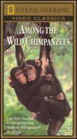 National Geographic: Among the Wild Chimpanzees