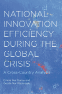 National Innovation Efficiency During the Global Crisis: A Cross-Country Analysis