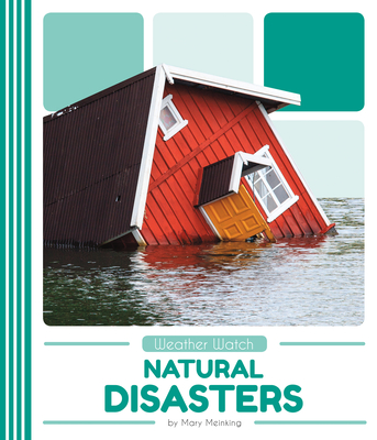 Natural Disasters - Meinking, Mary