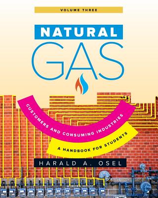 Natural Gas: Consumers and Consuming Industry: A Handbook for Students of the Natural Gas Industry - Osel, Harald