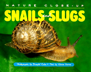 Nature Close Up: Snails & Slugs