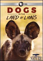 Nature: Dogs in the Land of Lions