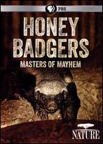 Nature: Honey Badgers - Masters of Mayhem