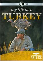 Nature: My Life as a Turkey