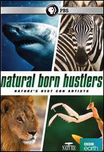 Nature: Natural Born Hustlers - Gavin Boyland; Mark Jones; Nick Green; Victoria Buckley