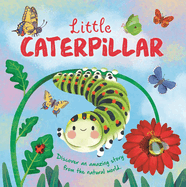 Nature Stories: Little Caterpillar: Discover Amazing Story from the Natural World! Padded Board Book