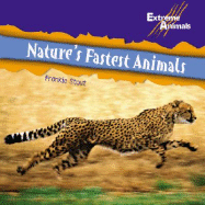 Nature's Fastest Animals