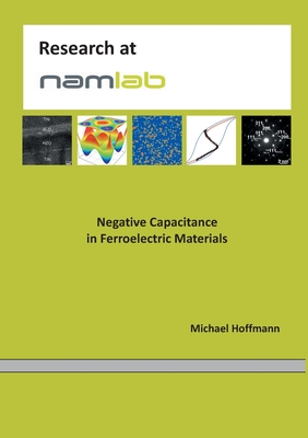 Negative Capacitance in Ferroelectric Materials - Hoffmann, Michael