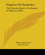 Negritos Of Zambales: The Naboloi Dialect; The Bataks of Palawan (1904)