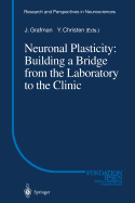 Neuronal Plasticity: Building a Bridge from the Laboratory to the Clinic - Grafman, Jordan (Editor)