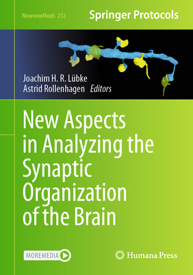 New Aspects in Analyzing the Synaptic Organization of the Brain - Lbke, Joachim H R (Editor), and Rollenhagen, Astrid (Editor)