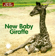New Baby Giraffe