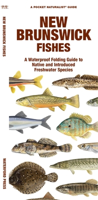 New Brunswick Fishes: A Waterproof Folding Guide to Native and Introduced Freshwater Species - Morris, Matthew, and Waterford Press
