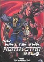 New Fist of the North Star, Vol. 2: The Forbidden Fist