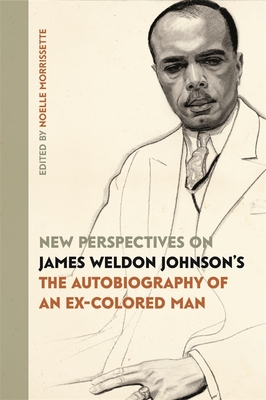 New Perspectives on James Weldon Johnson's the Autobiography of an Ex-Colored Man - Morrissette, Noelle (Editor), and Barnhart, Bruce (Contributions by), and Brooks, Lori (Contributions by)