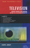 New Perspectives: The Television Industry