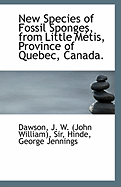 New Species of Fossil Sponges, from Little Metis, Province of Quebec, Canada