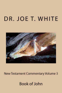 New Testament Commentary Volume 3: Book of John
