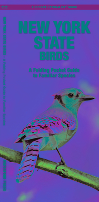 New York Birds - Kavanagh, James
