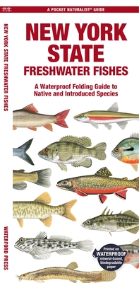 New York State Freshwater Fishes: A Waterproof Folding Guide to Native and Introduced Species - Morris, Matthew, and Kavanagh, Jill (Creator)