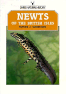 Newts of the British Isles