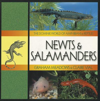 Newts & Salamanders - Meadows, Graham, and Vial, Claire