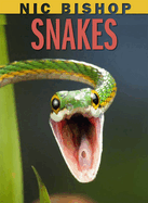 Nic Bishop: Snakes