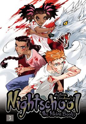 Nightschool, Vol. 3: The Weirn Books - Chmakova, Svetlana