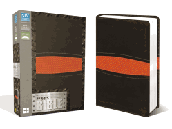 NIV, Boys Bible, Leathersoft, Brown/Orange